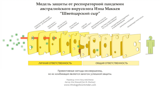 “Швейцарский сыр” Иэна Маккея – модель защиты от пандемии респираторного вируса